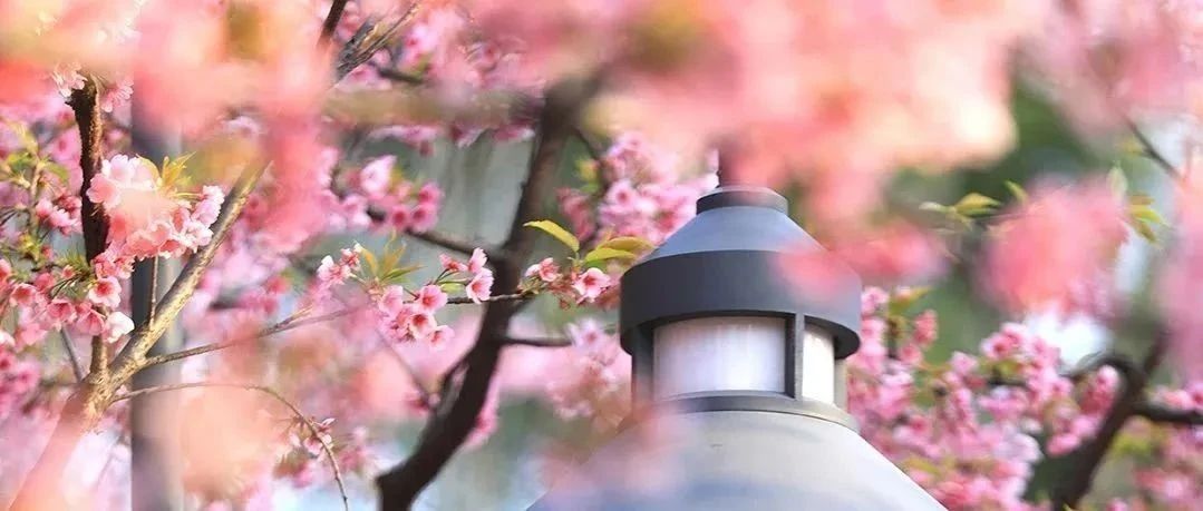 致敬了不起的她 | 眼中有光，心中有夢，世界因您而更美